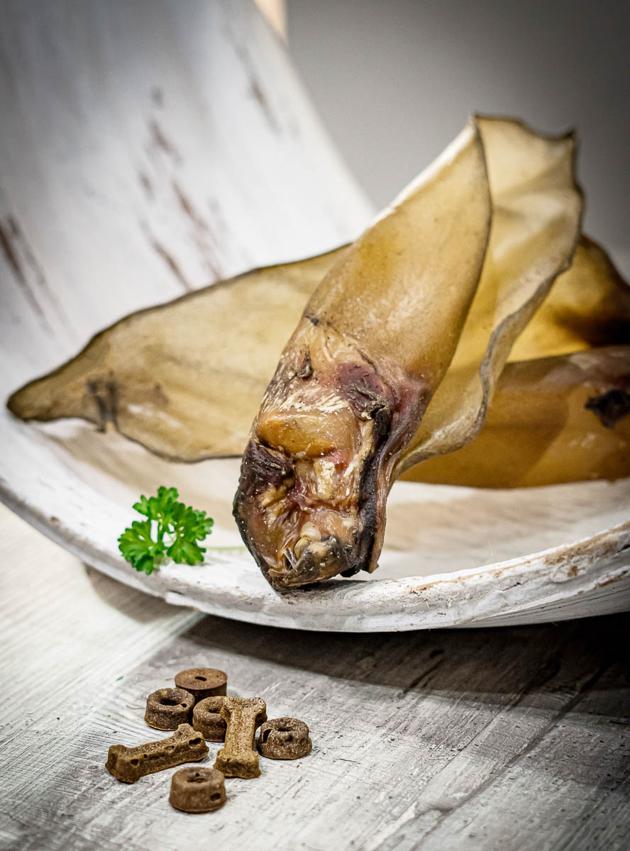 Galeriebild aus der Kategorie Merchandise