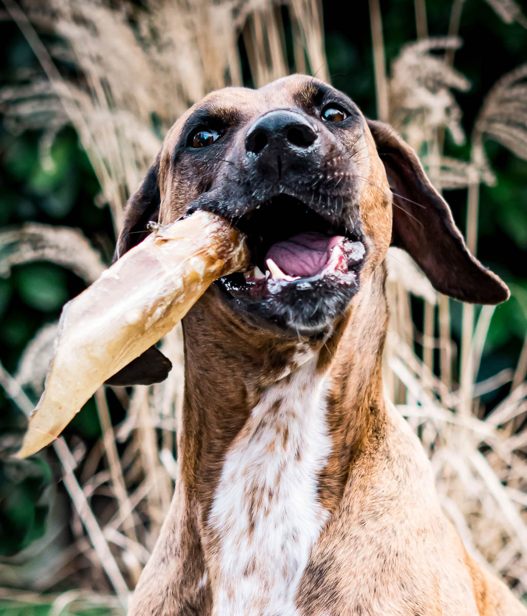 Galeriebild aus der Kategorie Merchandise