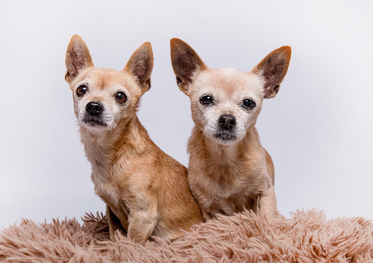 Galeriebild aus der Kategorie Regenbogen