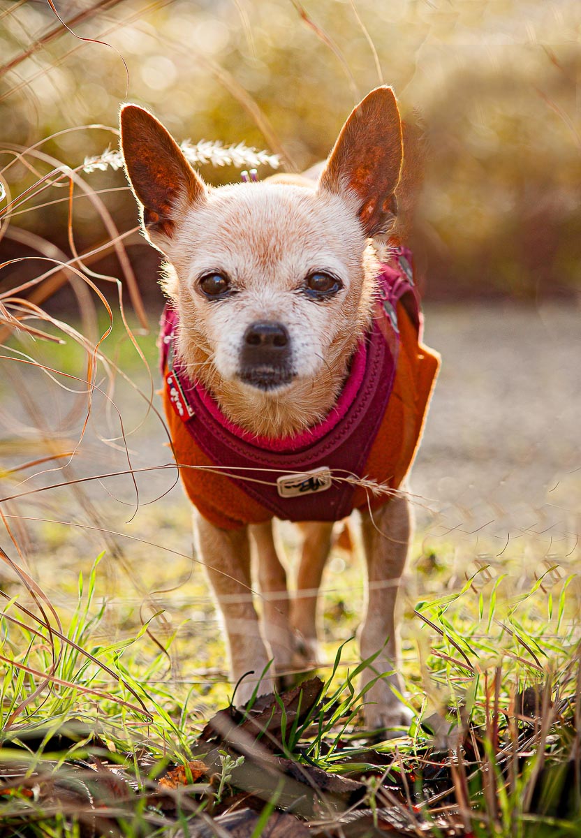 Galeriebild aus der Kategorie Regenbogen