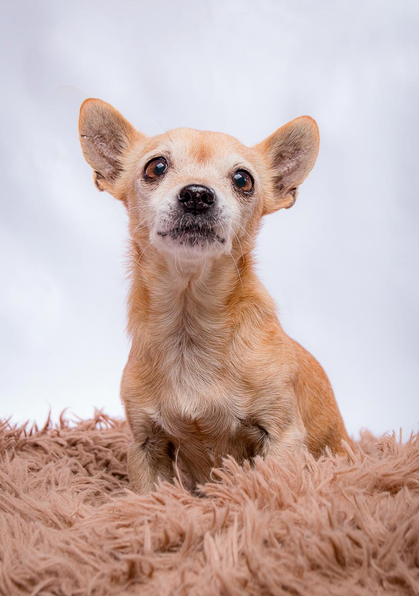 Galeriebild aus der Kategorie Regenbogen