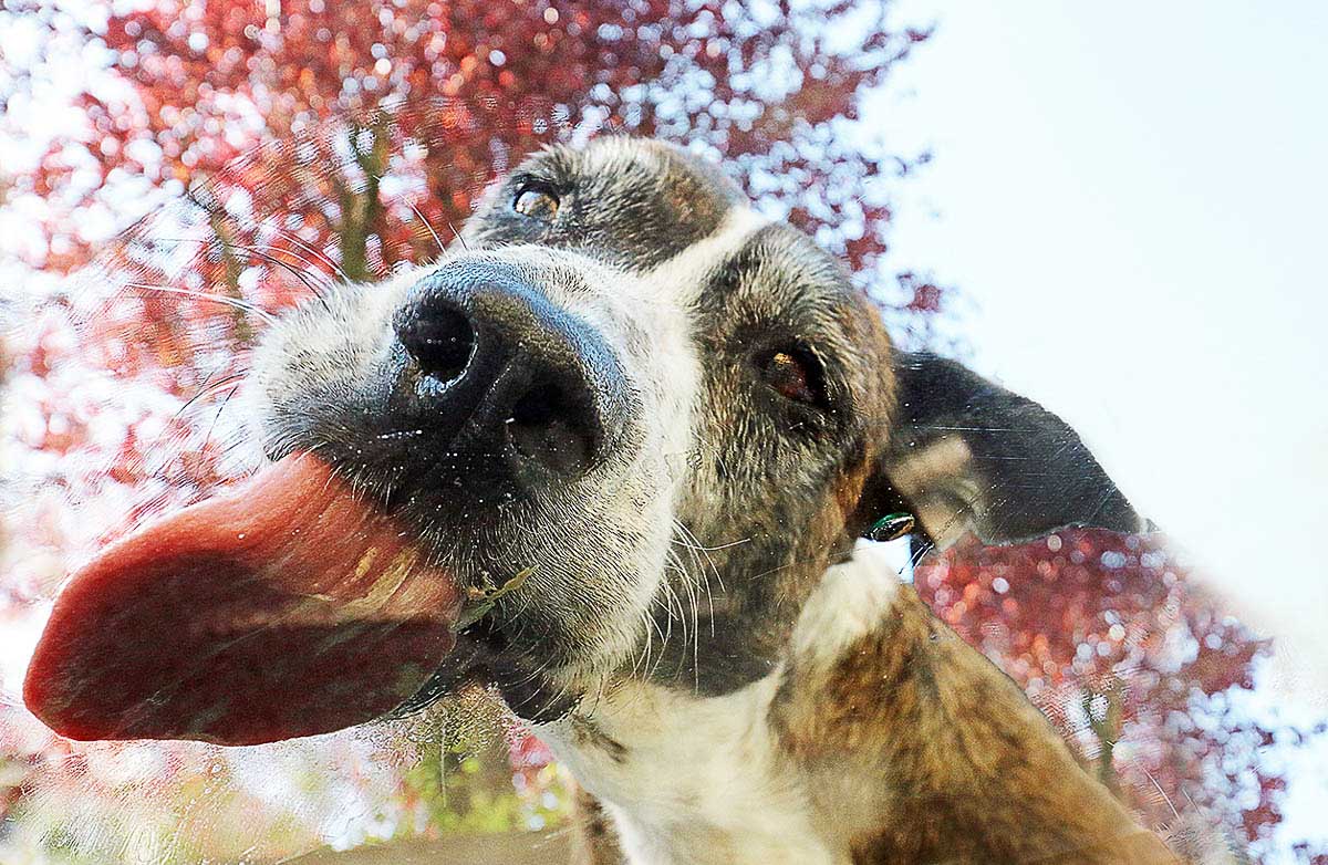 Beispielfoto aus der Kategorie Outdoorshooting