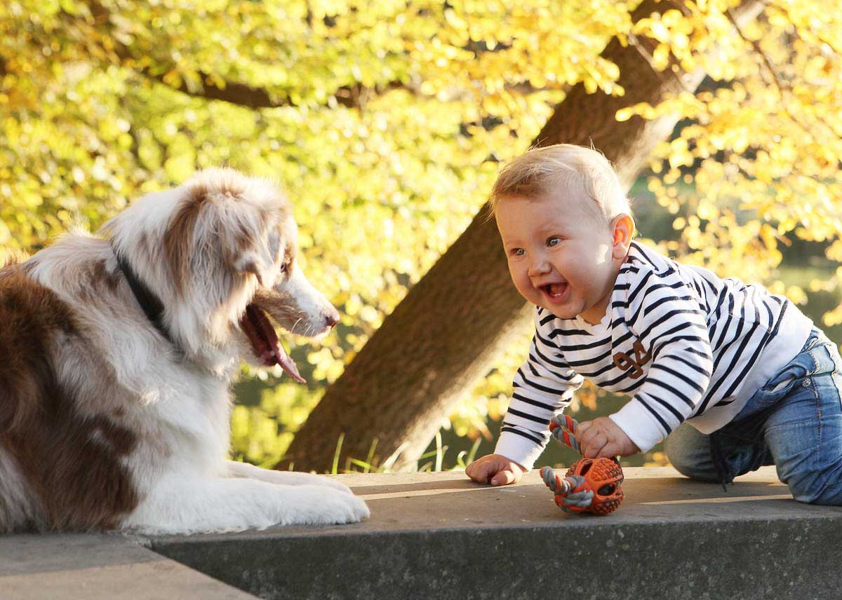 Galeriebild aus der Kategorie Tiere