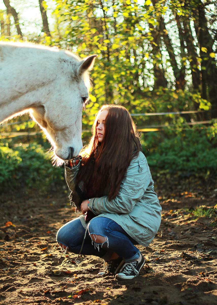 Galeriebild aus der Kategorie Tiere