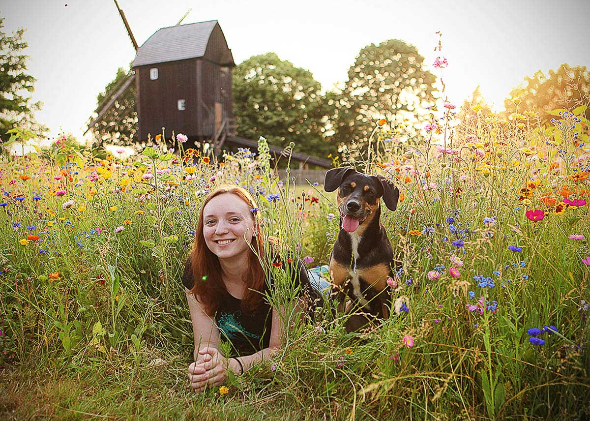 Galeriebild aus der Kategorie Tiere