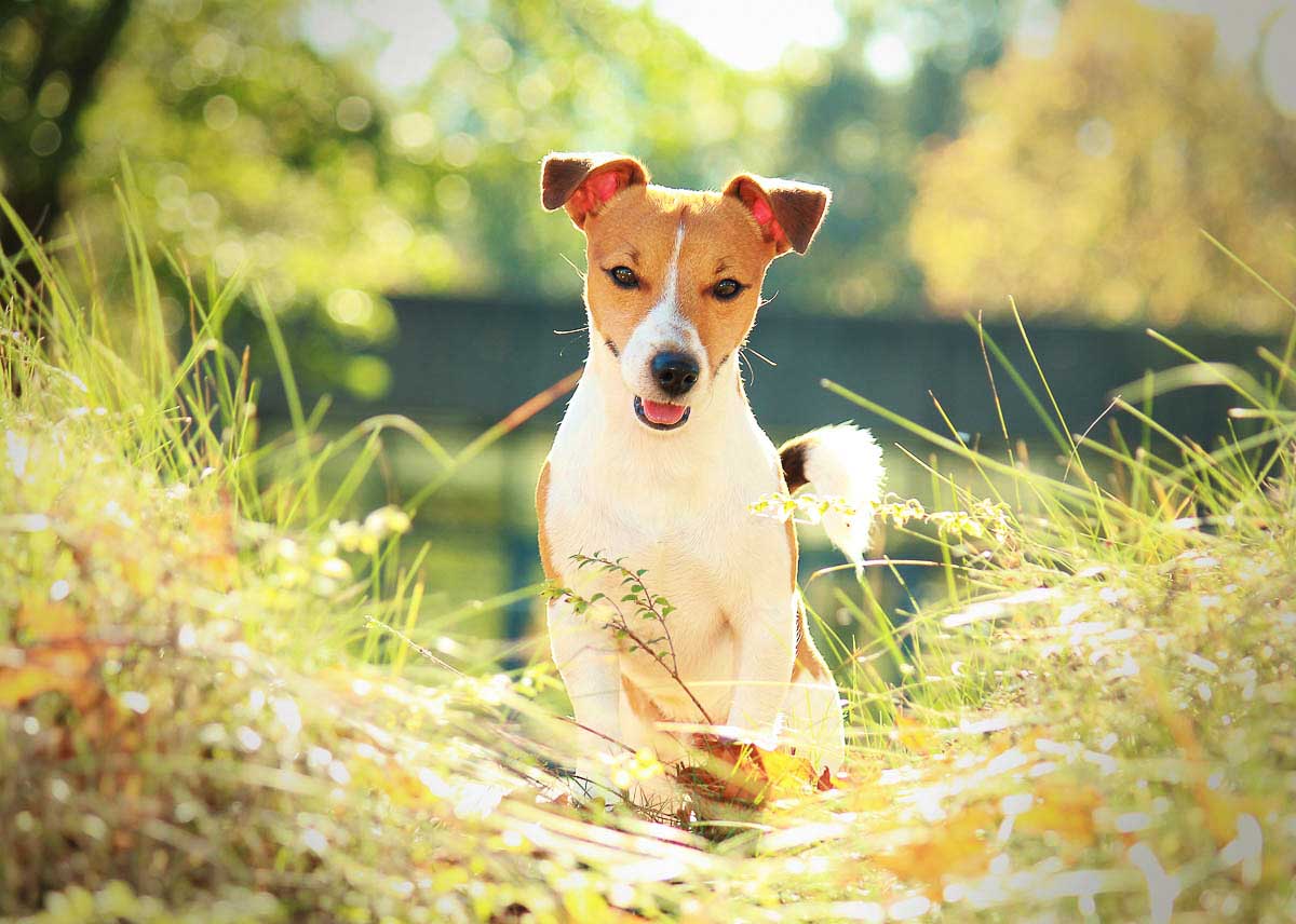 Beispielfoto aus der Kategorie Outdoorshooting