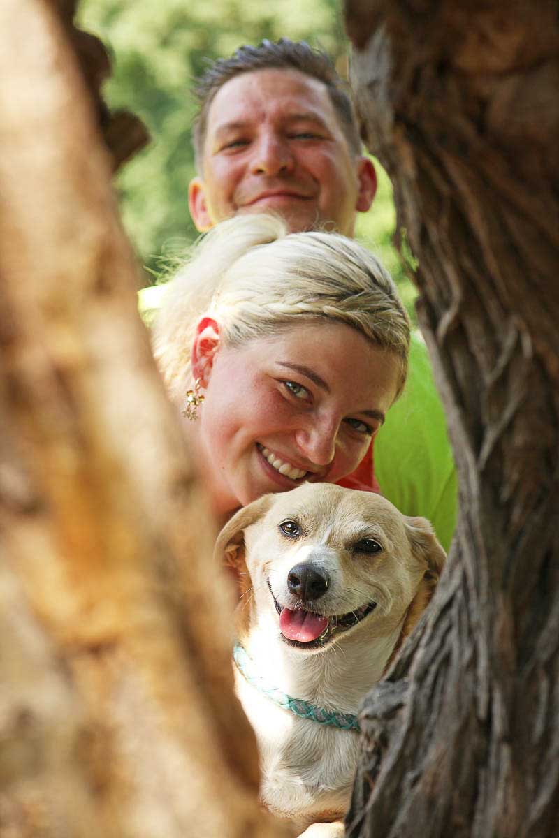 Galeriebild aus der Kategorie Tiere