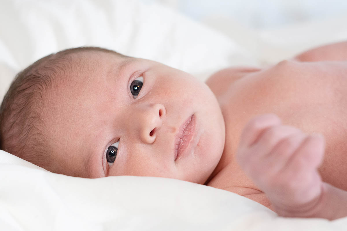 Galeriebild aus der Kategorie Frisch geschlüpft