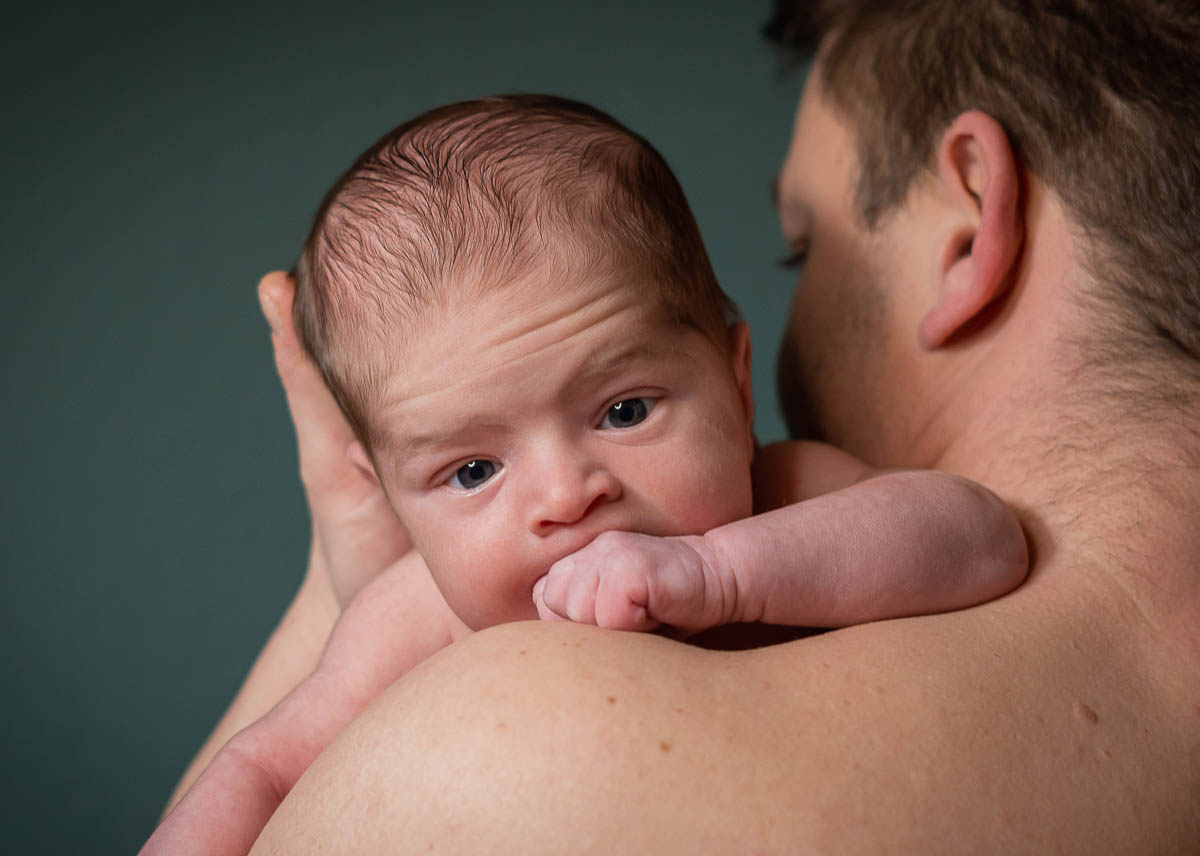 Galeriebild aus der Kategorie Frisch geschlüpft