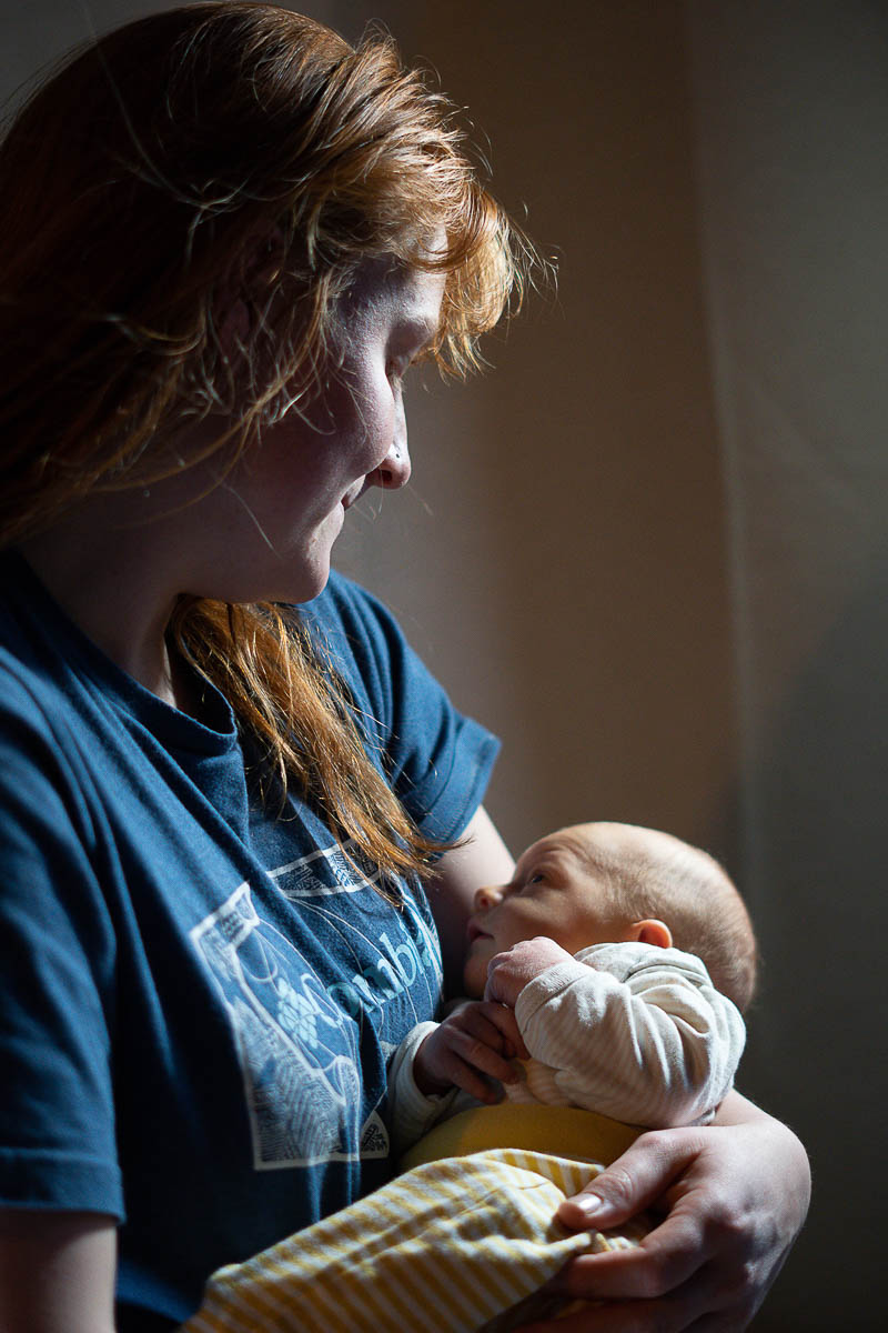 Galeriebild aus der Kategorie Frisch geschlüpft