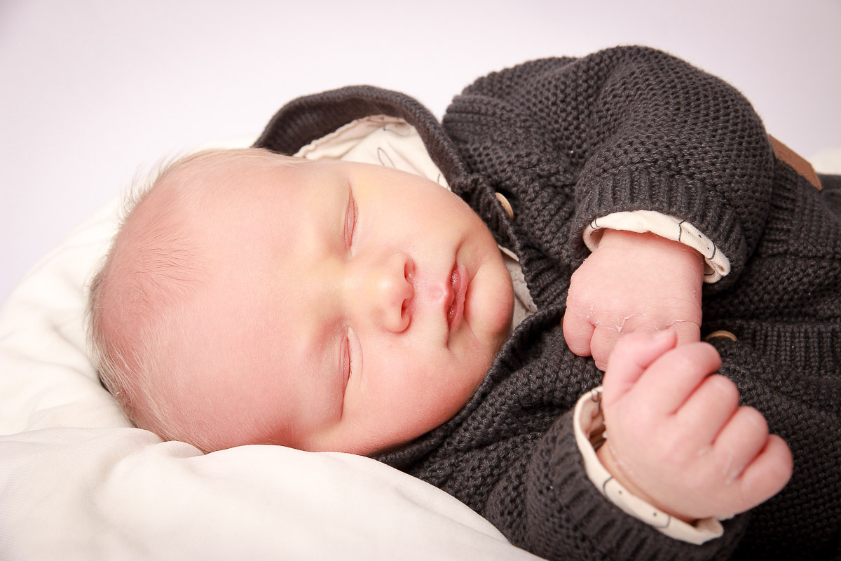 Galeriebild aus der Kategorie Frisch geschlüpft