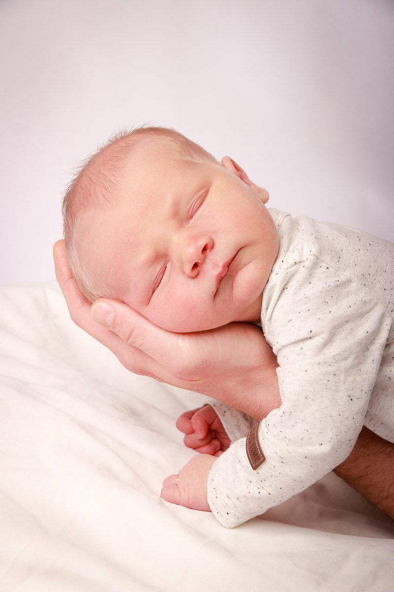 Galeriebild aus der Kategorie Frisch geschlüpft