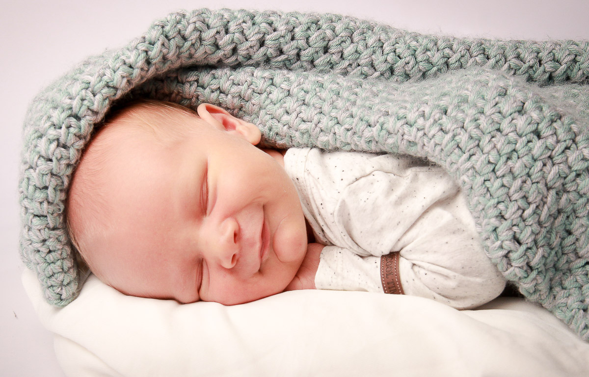 Galeriebild aus der Kategorie Frisch geschlüpft