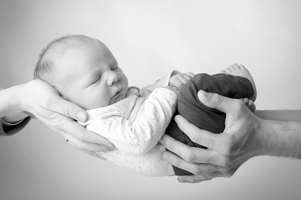 Galeriebild aus der Kategorie Frisch geschlüpft