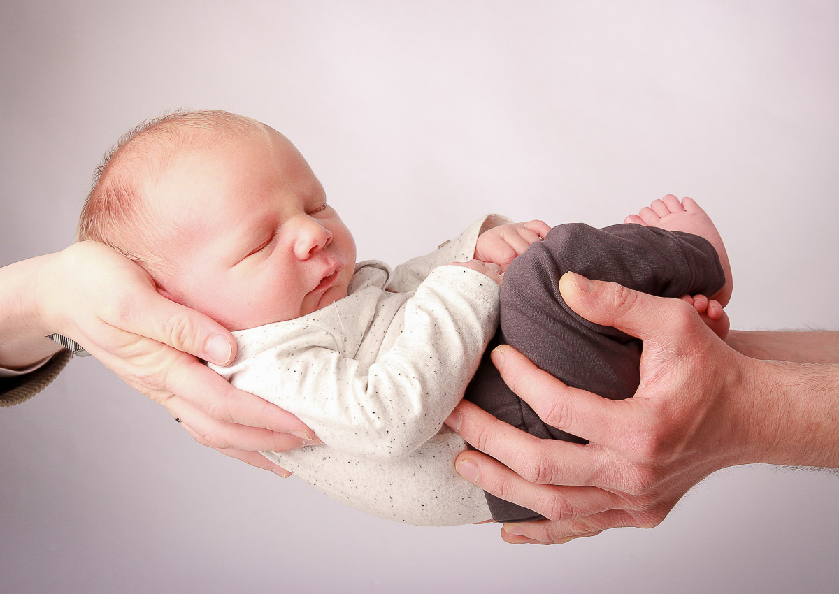 Galeriebild aus der Kategorie Frisch geschlüpft